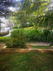 Emerald Garden (D1), Condominium #424107711